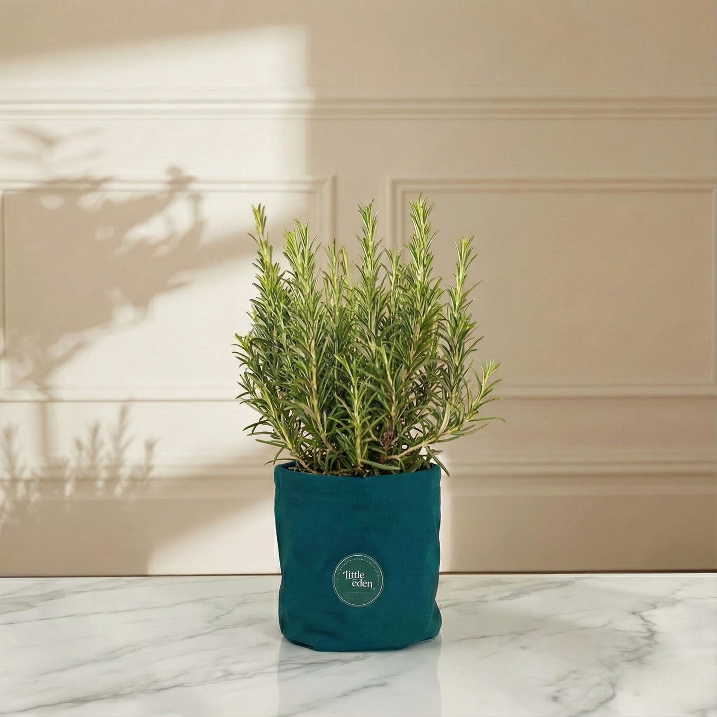 Rosemary — Eternal Memory