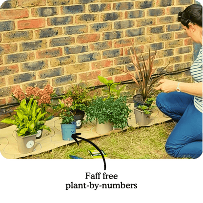 Dan's Garden-in-a-Box