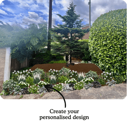 Malavika's Border-in-a-Box