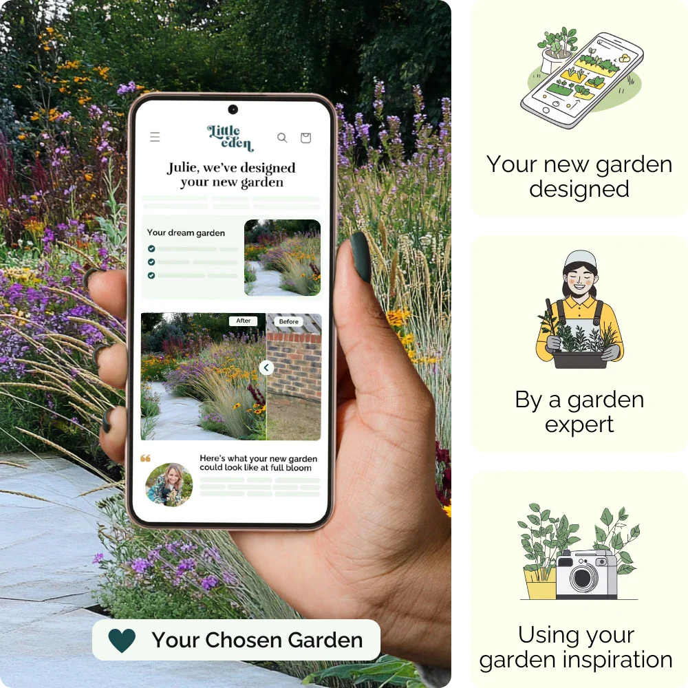 Meadow Magic Garden Blueprint