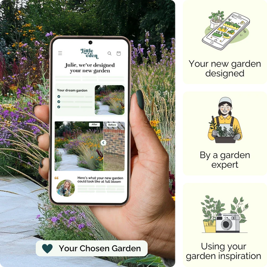 Meadow Magic Garden Blueprint