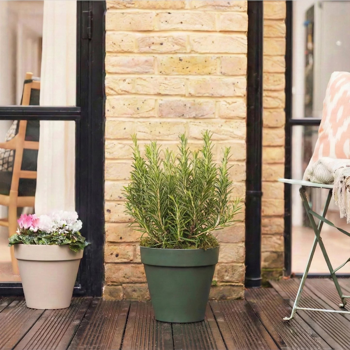 Rosemary — Eternal Memory