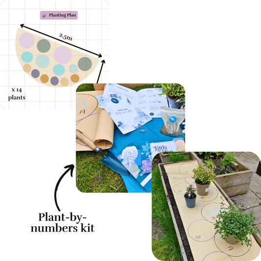 Esme's Plant-by-Numbers Kit
