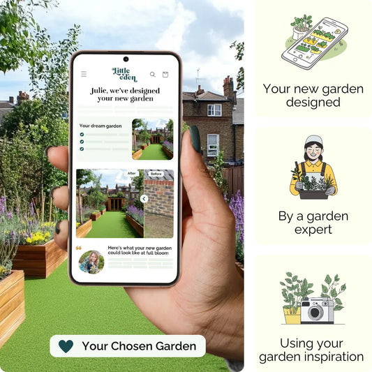 Lavender Lane Garden Blueprint