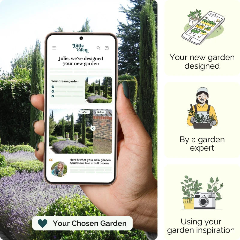 Tuscan Calm Garden Blueprint