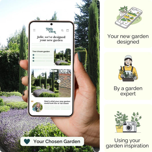 Tuscan Calm Garden Blueprint