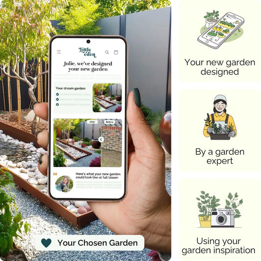 Zen Stream Garden Blueprint