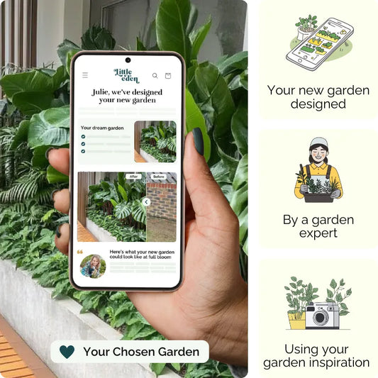 Urban Jungle Garden Blueprint