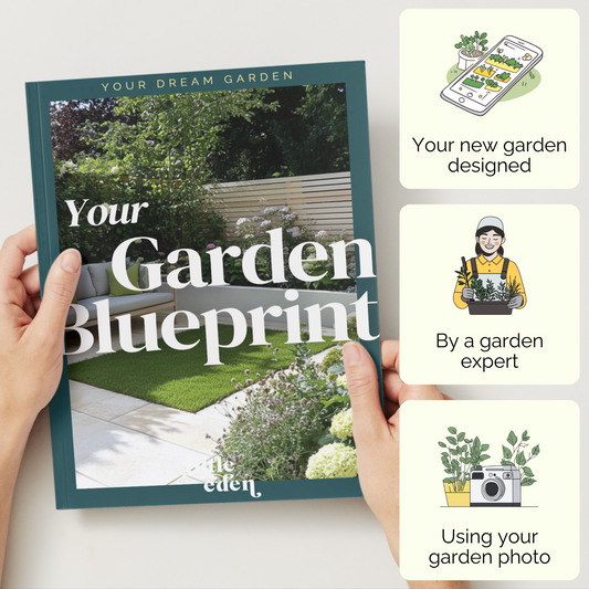 Your Garden Blueprint