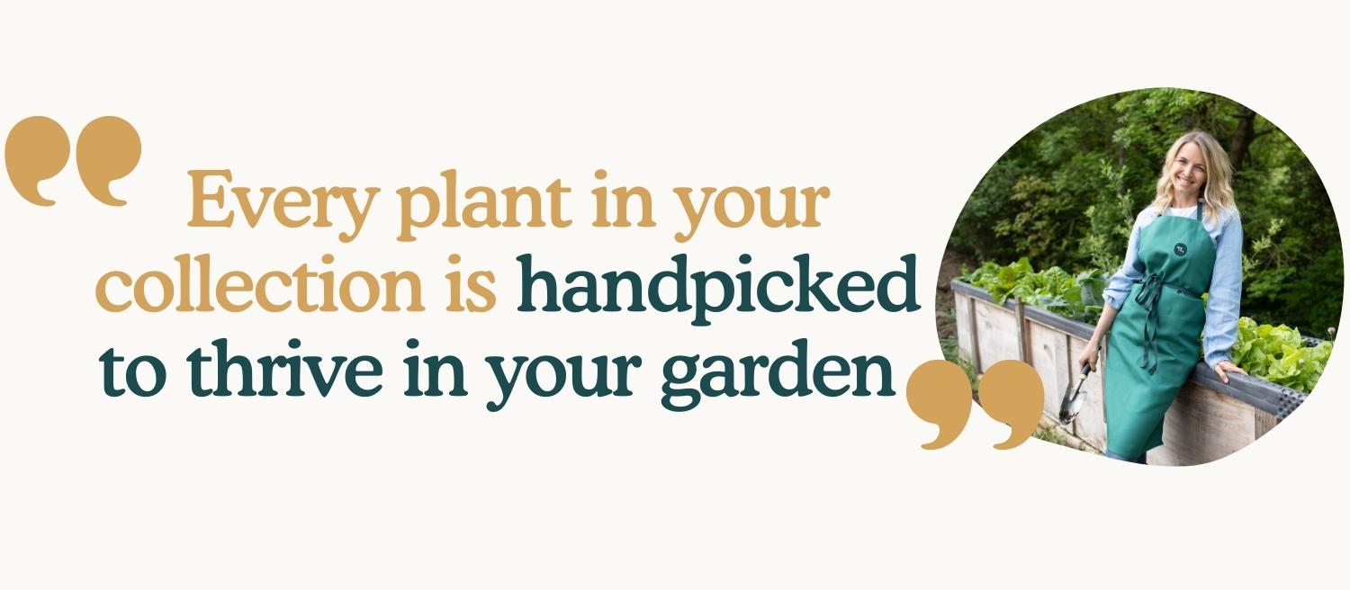 Every plant is handpicked to thrive in your garden