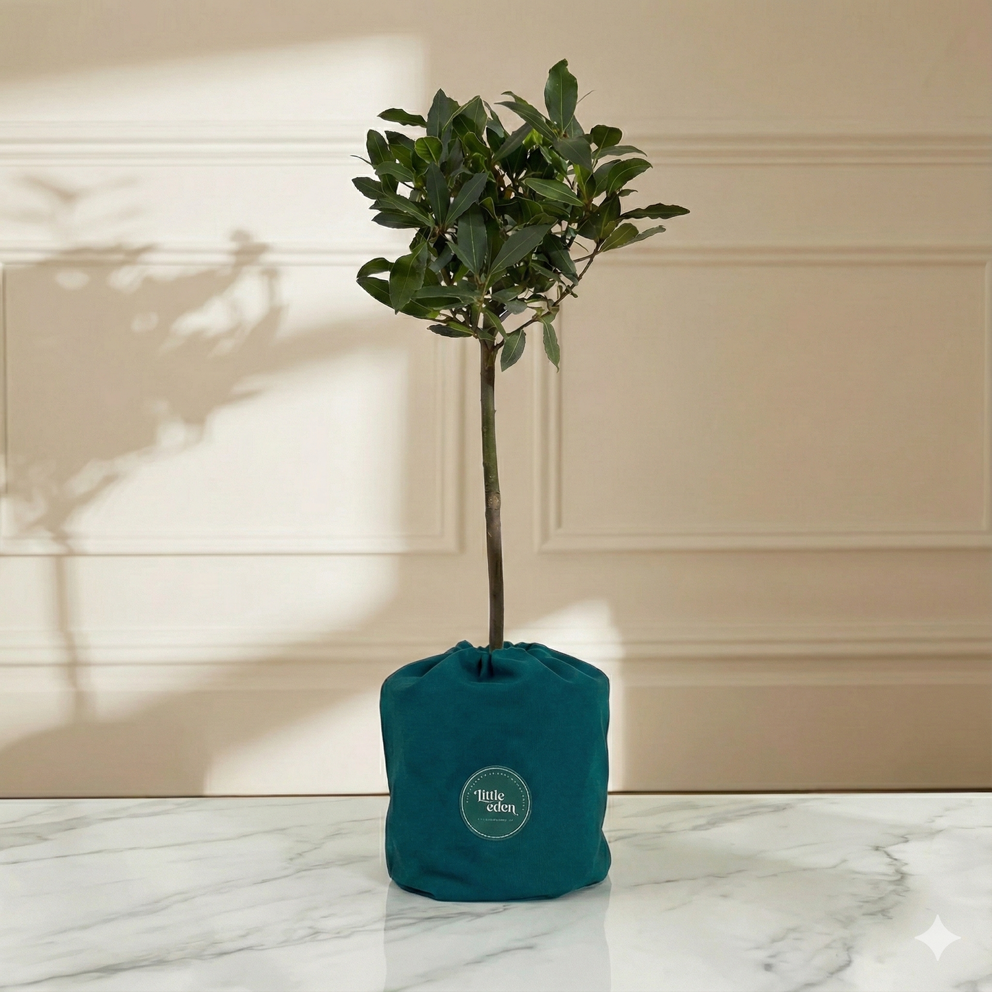 Bay Tree Gift Set – Strength & Courage