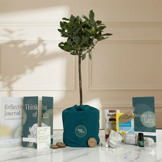 Bay Tree Gift Set – Strength & Courage