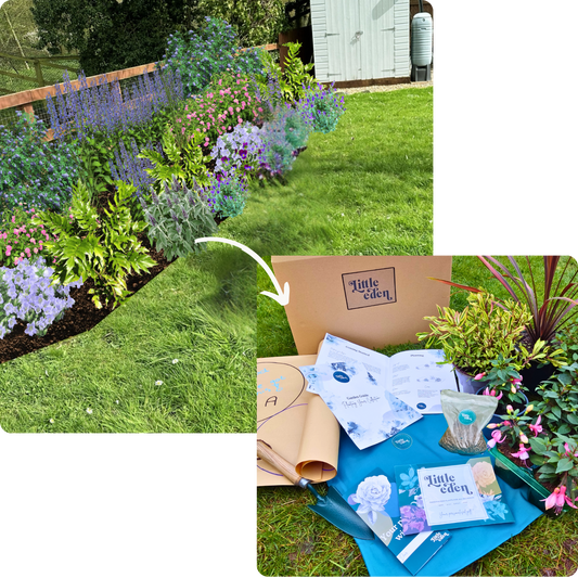 Tina's Garden-in-a-Box