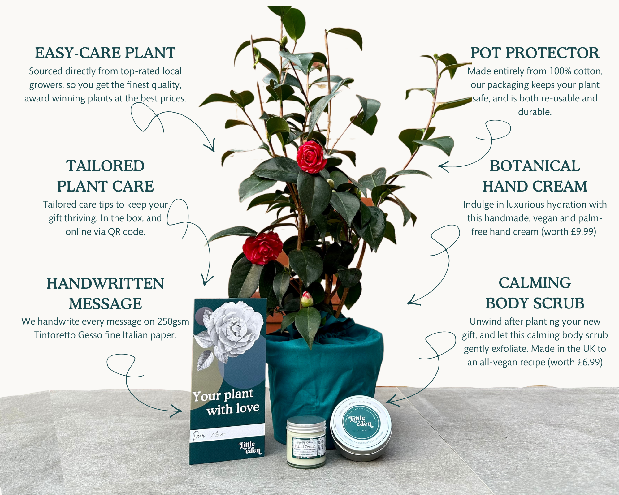 Plant gift features