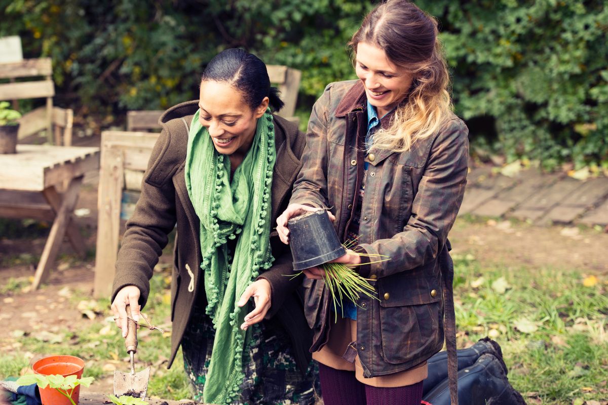 Tailored plant care