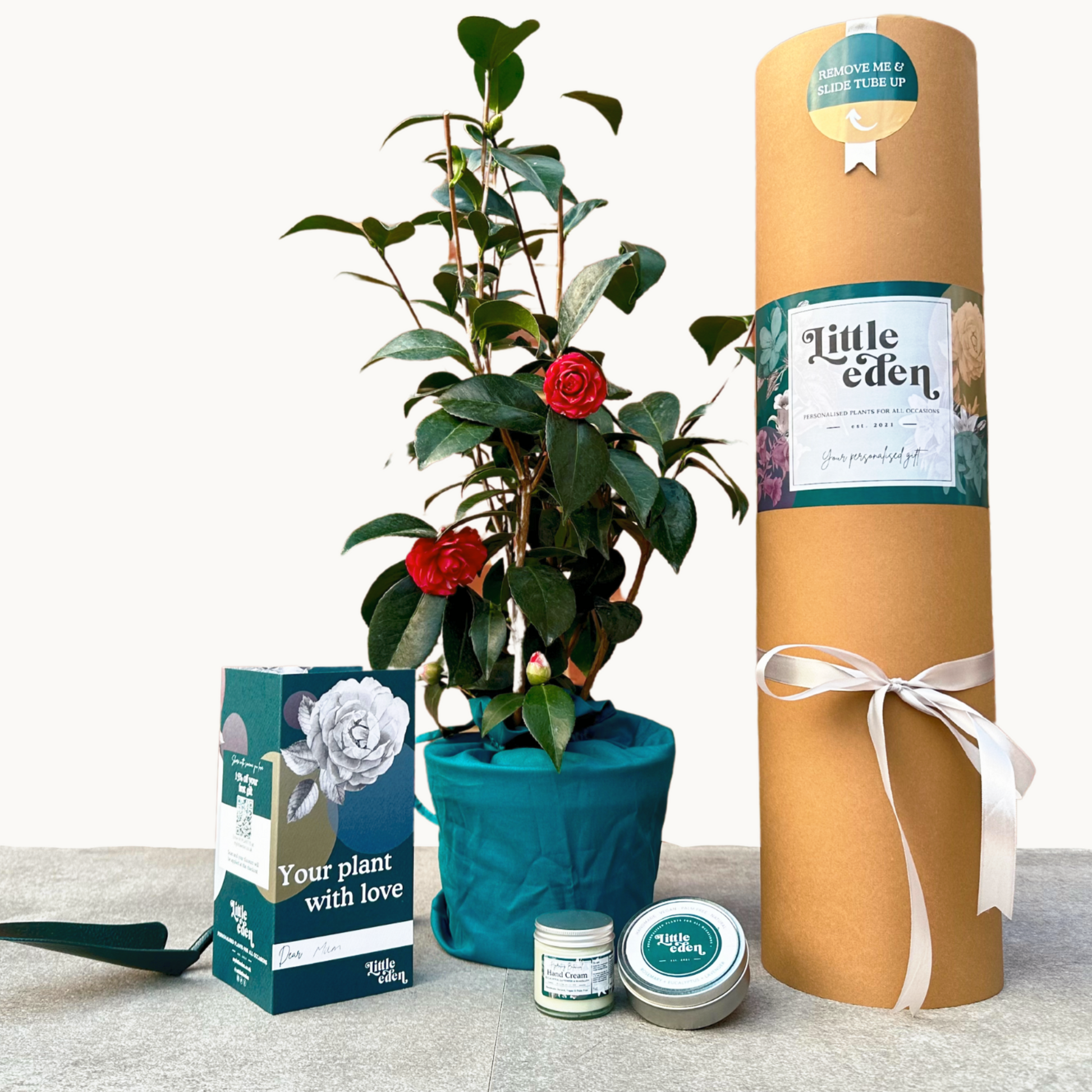 Full plant gift set