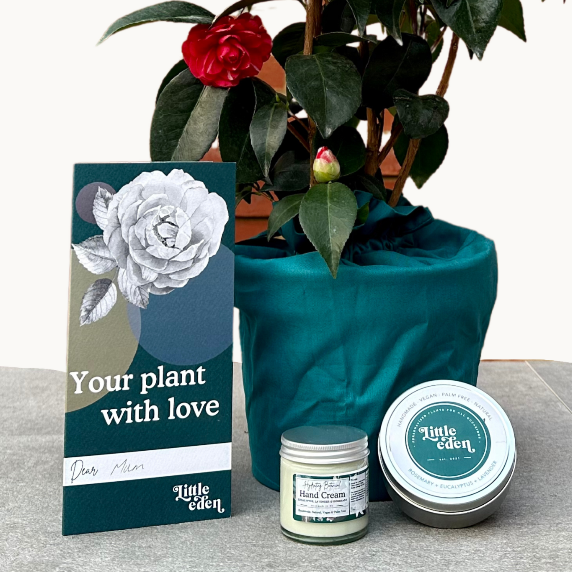 Plant gift set without packaging