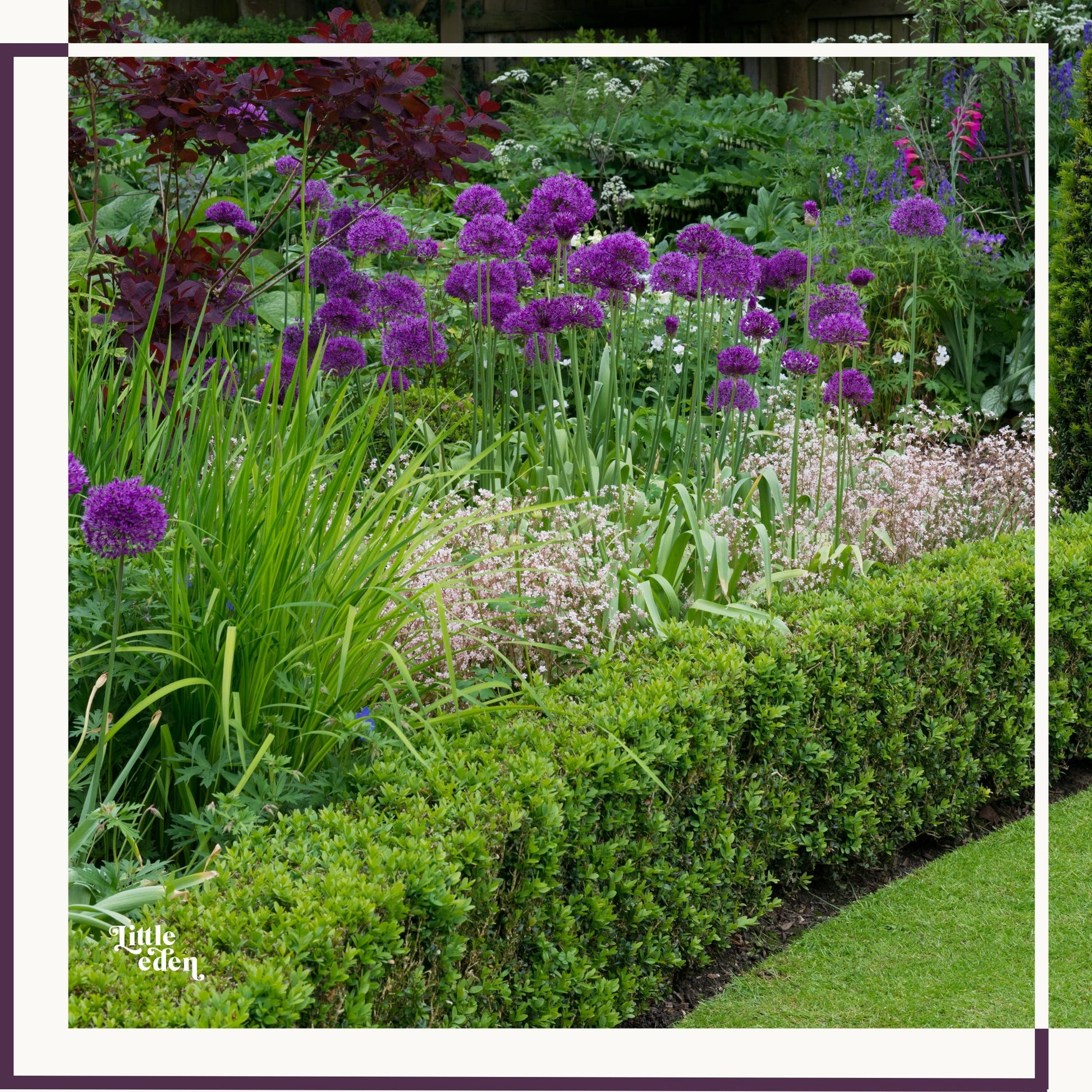 An example garden collection