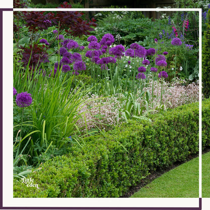 An example garden collection